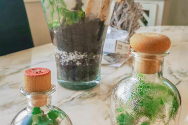 terrarium13